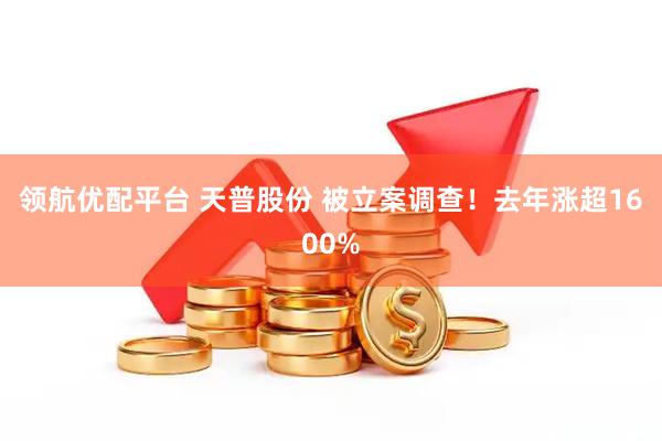 领航优配平台 天普股份 被立案调查！去年涨超1600%